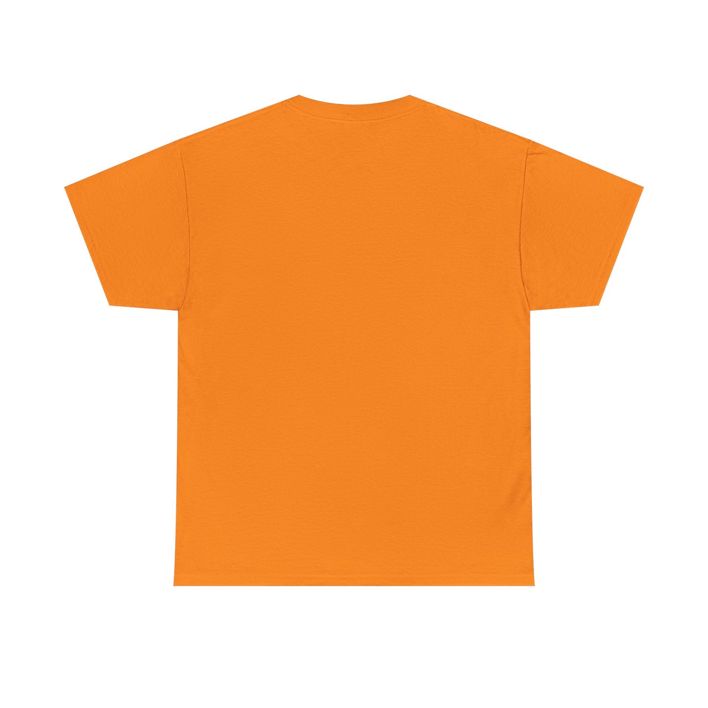 Graphic Tee AMF Drink Fun Adult Unisex Heavy Cotton T-Shirt